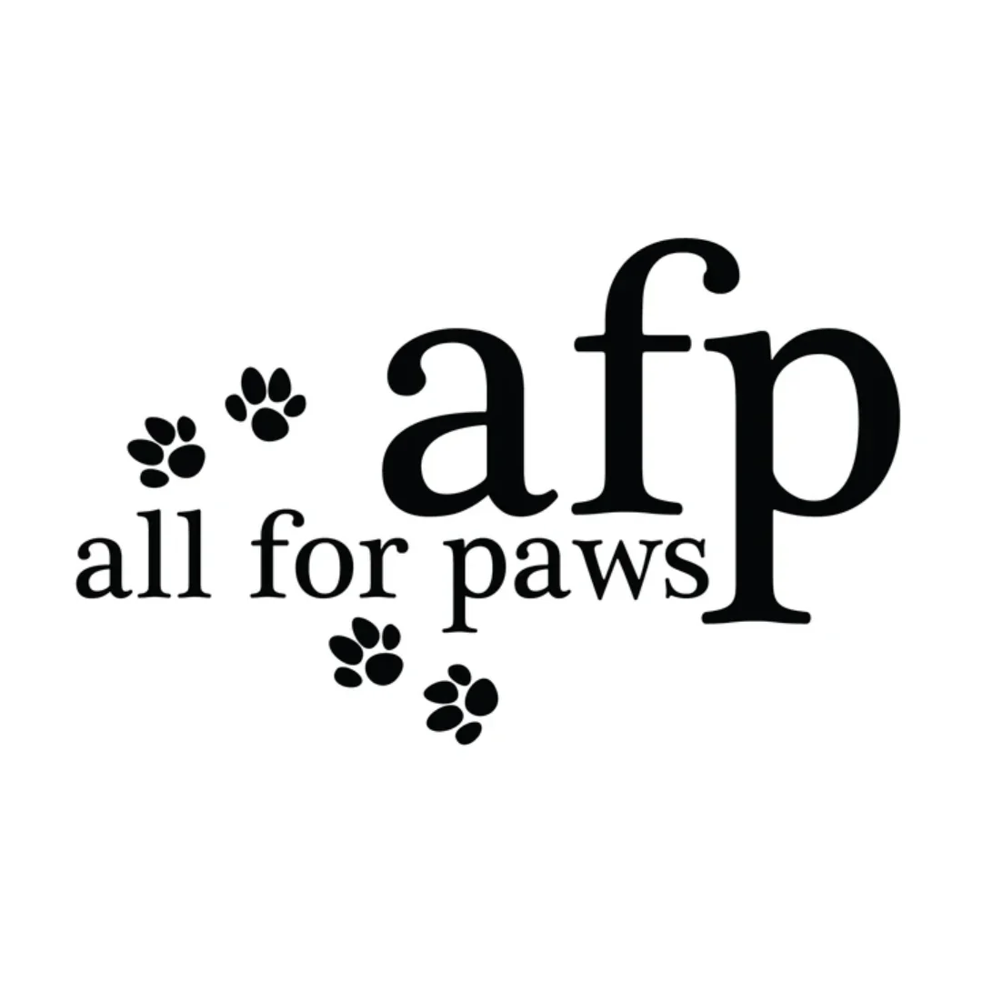 AFP Dig It | Treat Mat Square Squirrel - Image 4