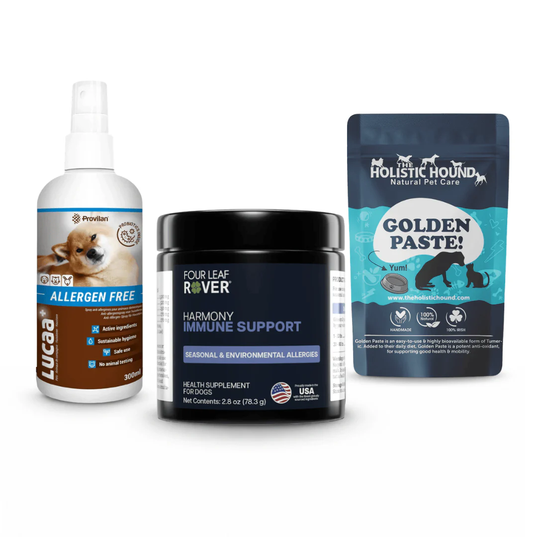 Nikita's Top Picks