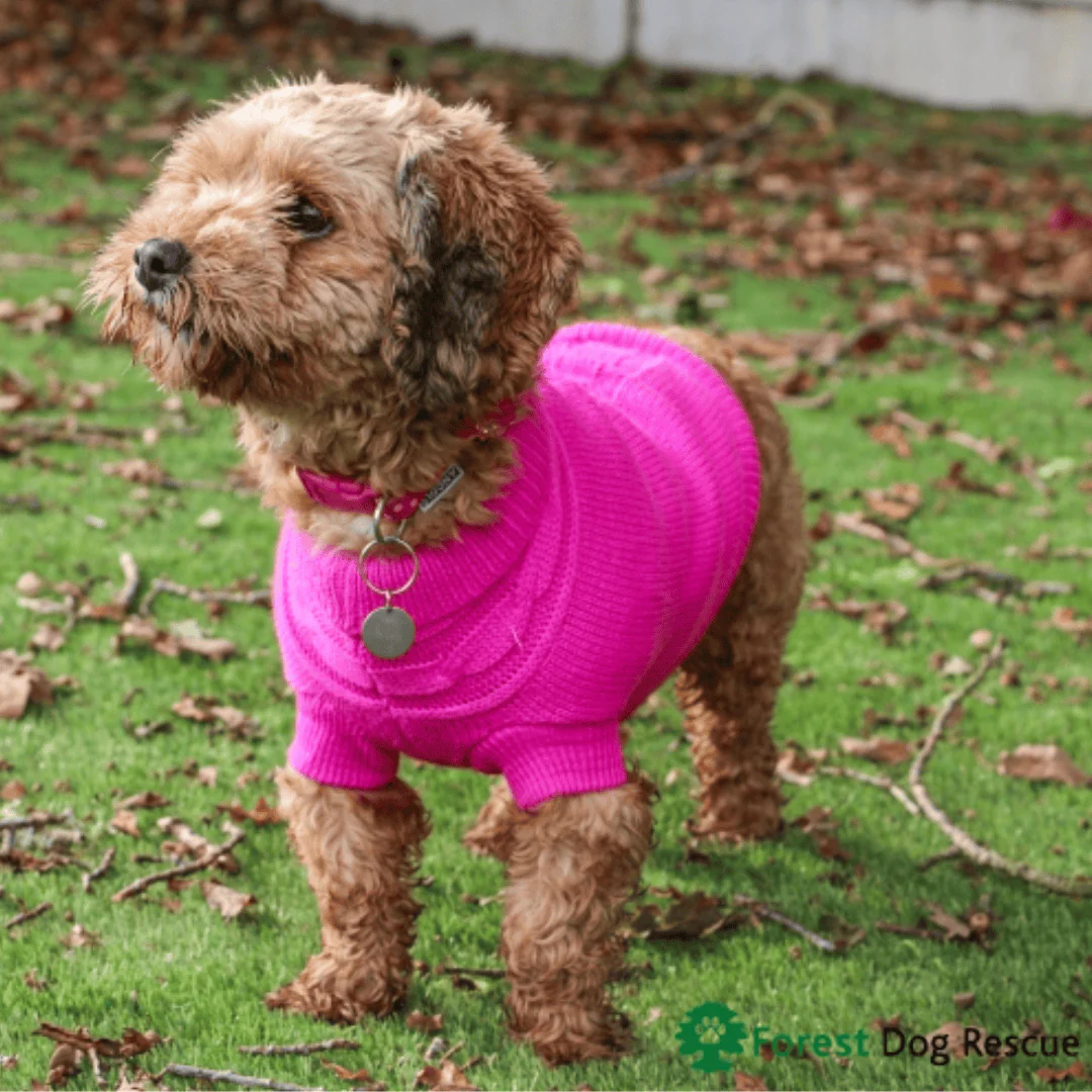 Ancol Cable Knit Jumper Pink - Image 3