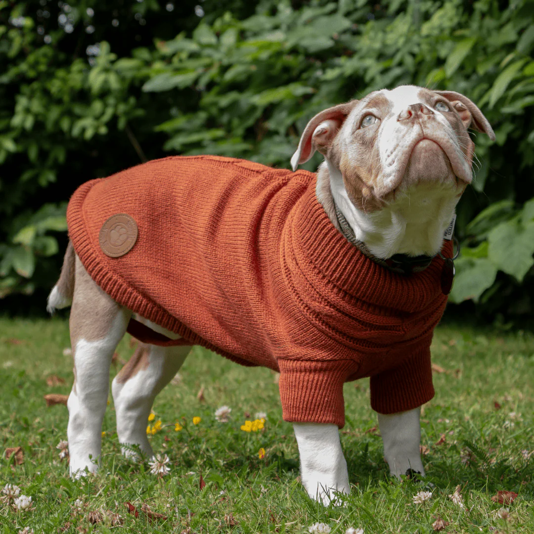 Ancol Cable Knit Jumper Terracotta - Image 4