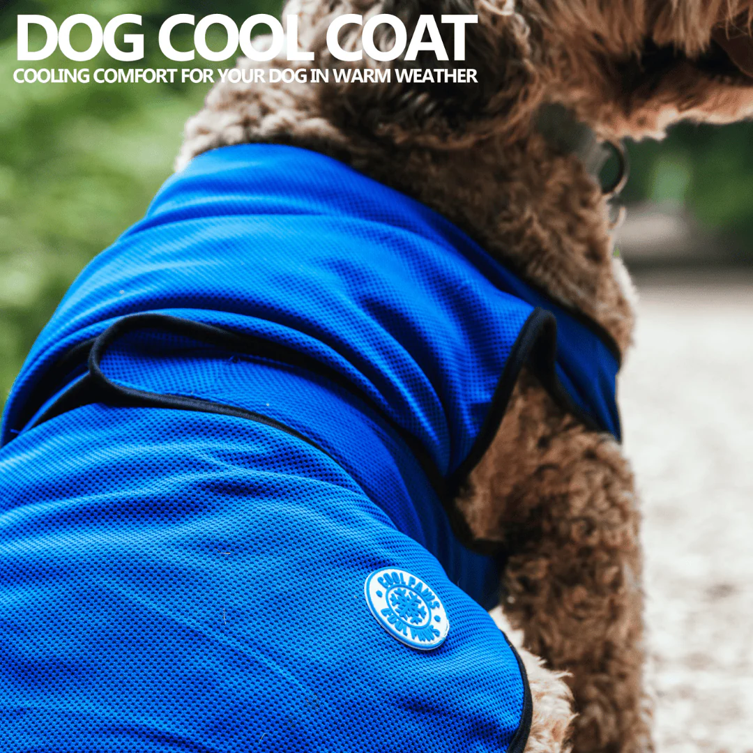 Ancol Cooling Vest - Image 3