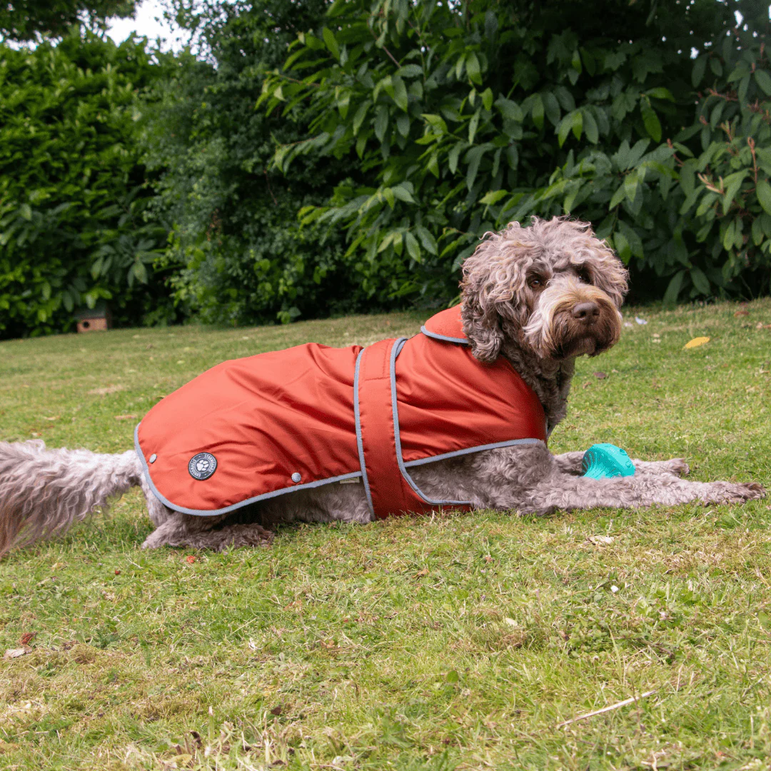Ancol Stormguard Dog Coat Terracotta - Image 4
