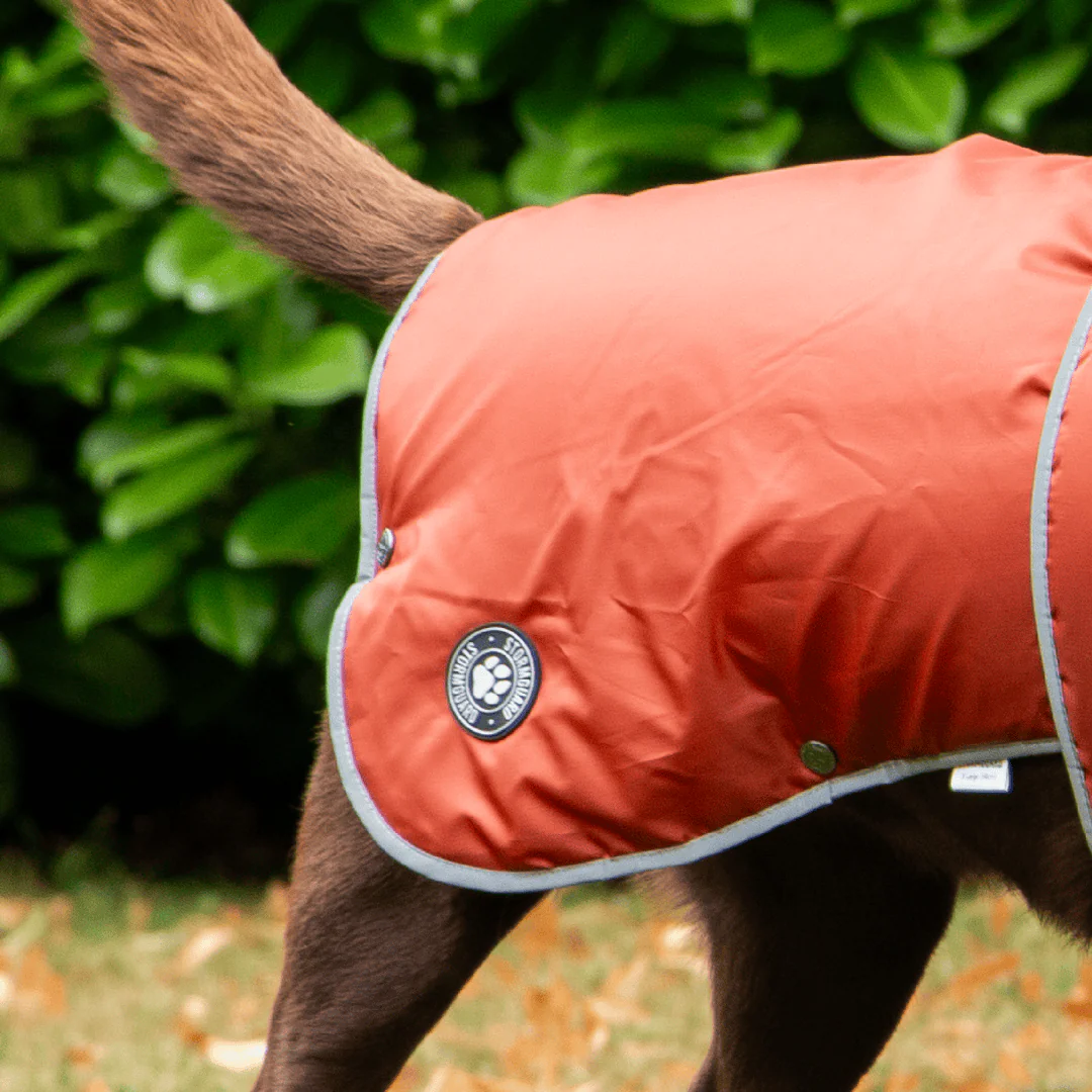 Ancol Stormguard Dog Coat Terracotta - Image 6
