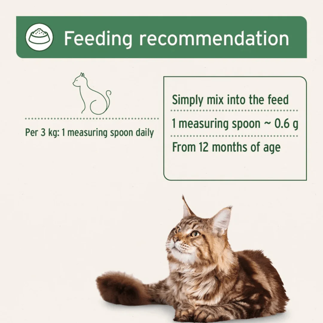 AniForte Barf Complete - Raw Food Supplement for Cats - Image 3