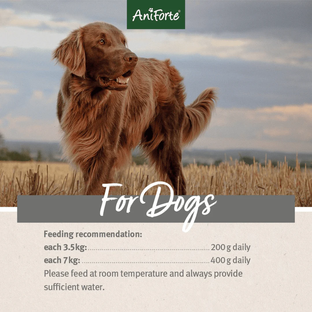 AniForte PureNature Farms Lamb Wet Food - Image 4