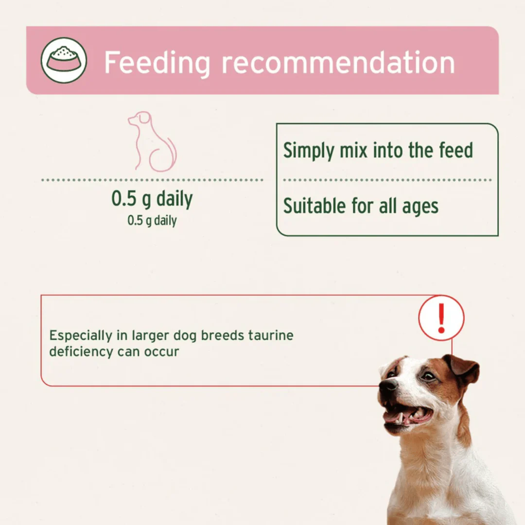 AniForte Taurine Powder for Dogs - Image 4