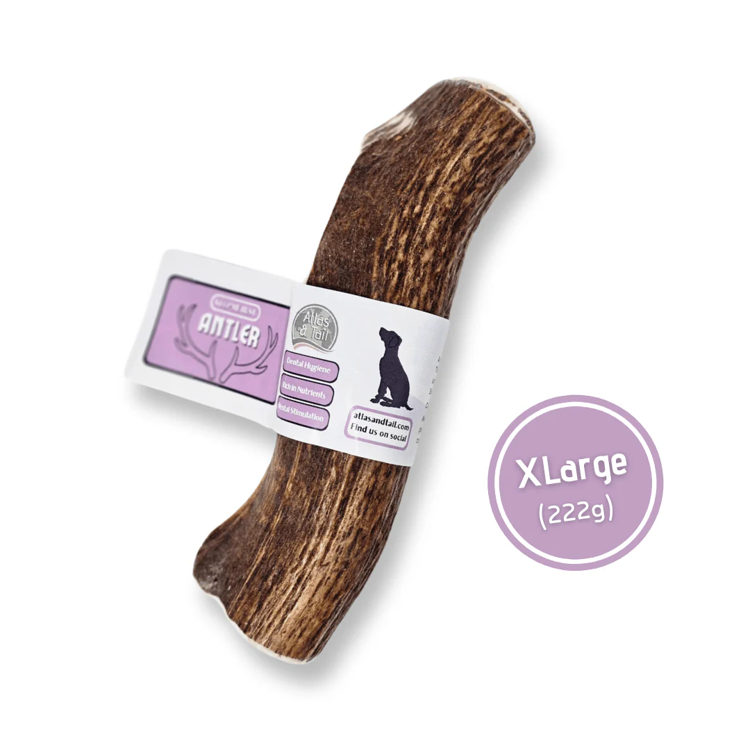 Antlers - Atlas & Tail - Image 4