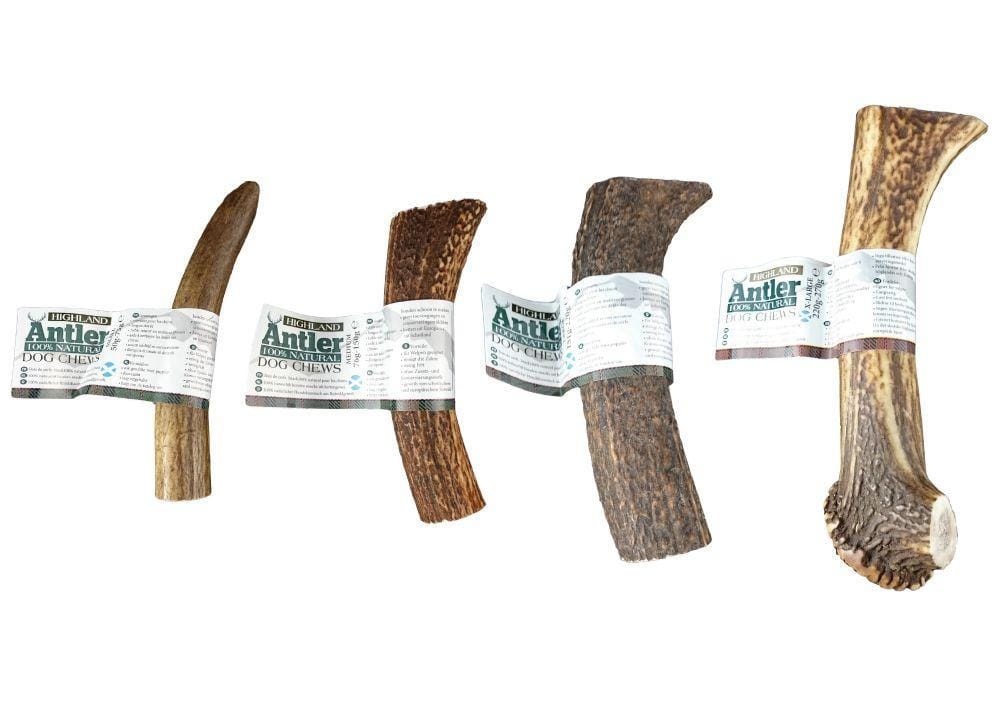 Antlers for Dogs - Image 4