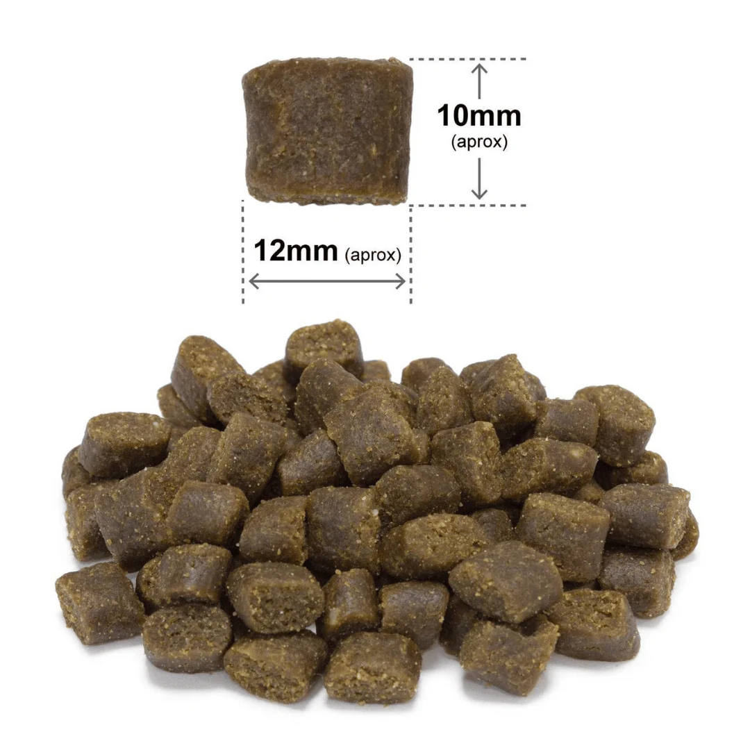 Arquivet Free Run Turkey - Semi Moist Cold Pressed Dog Food - Image 6