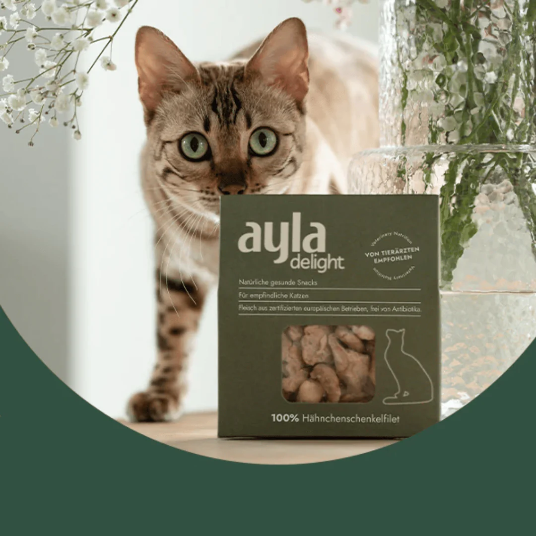 Ayla Delight Chicken Thigh Fillet Cat Treats - Image 3
