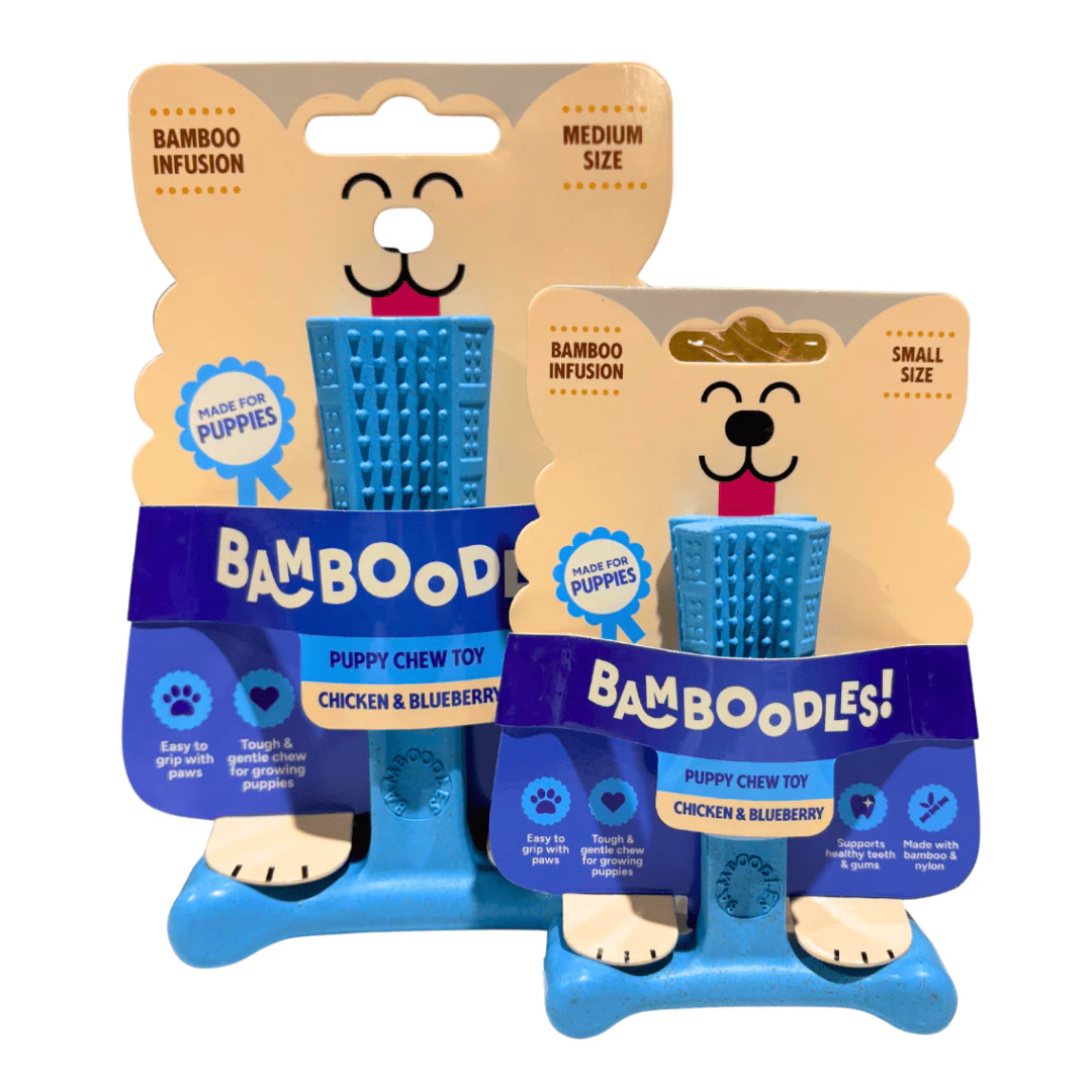 Bamboodles T-Bone Puppy Chew - Chicken & Blueberry - Image 3