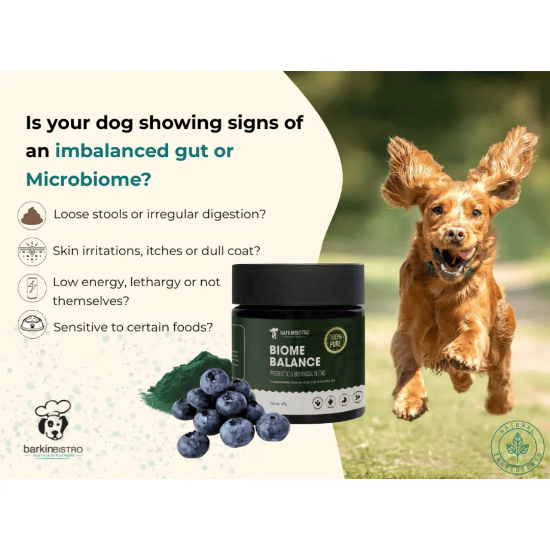 Barkin Bistro Supplements - Biome Balance 45g - Image 2