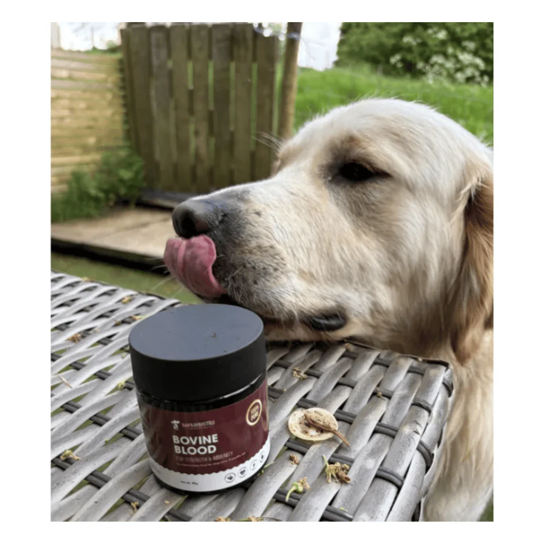 Barkin Bistro Supplements - Bovine Blood Powder 45g - Image 3