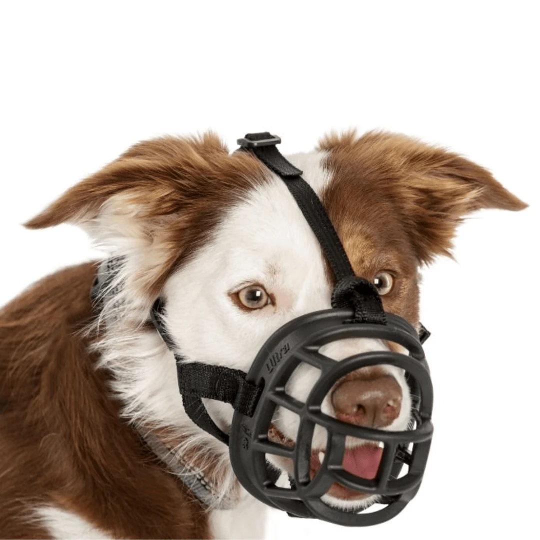 Baskerville Ultra Dog Muzzle - Image 3