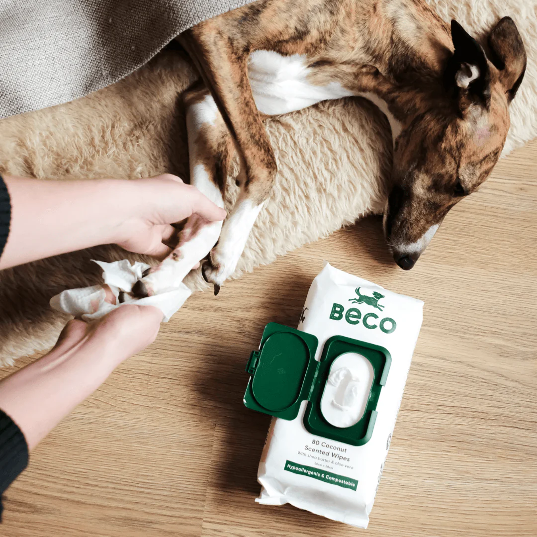 Beco Bamboo Coconut Scented Dog Wipes - Image 4