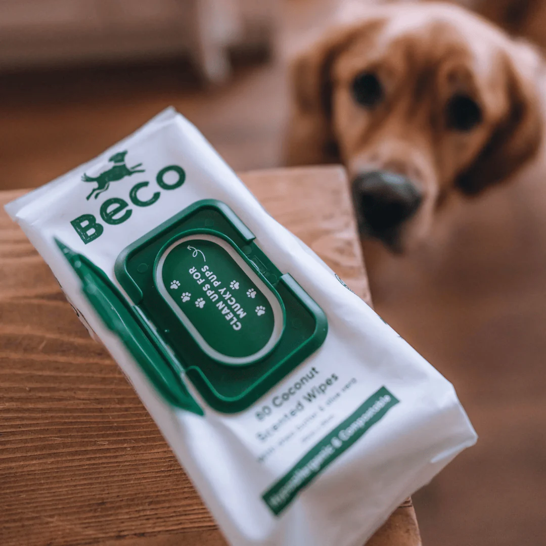 Beco Bamboo Coconut Scented Dog Wipes - Image 7