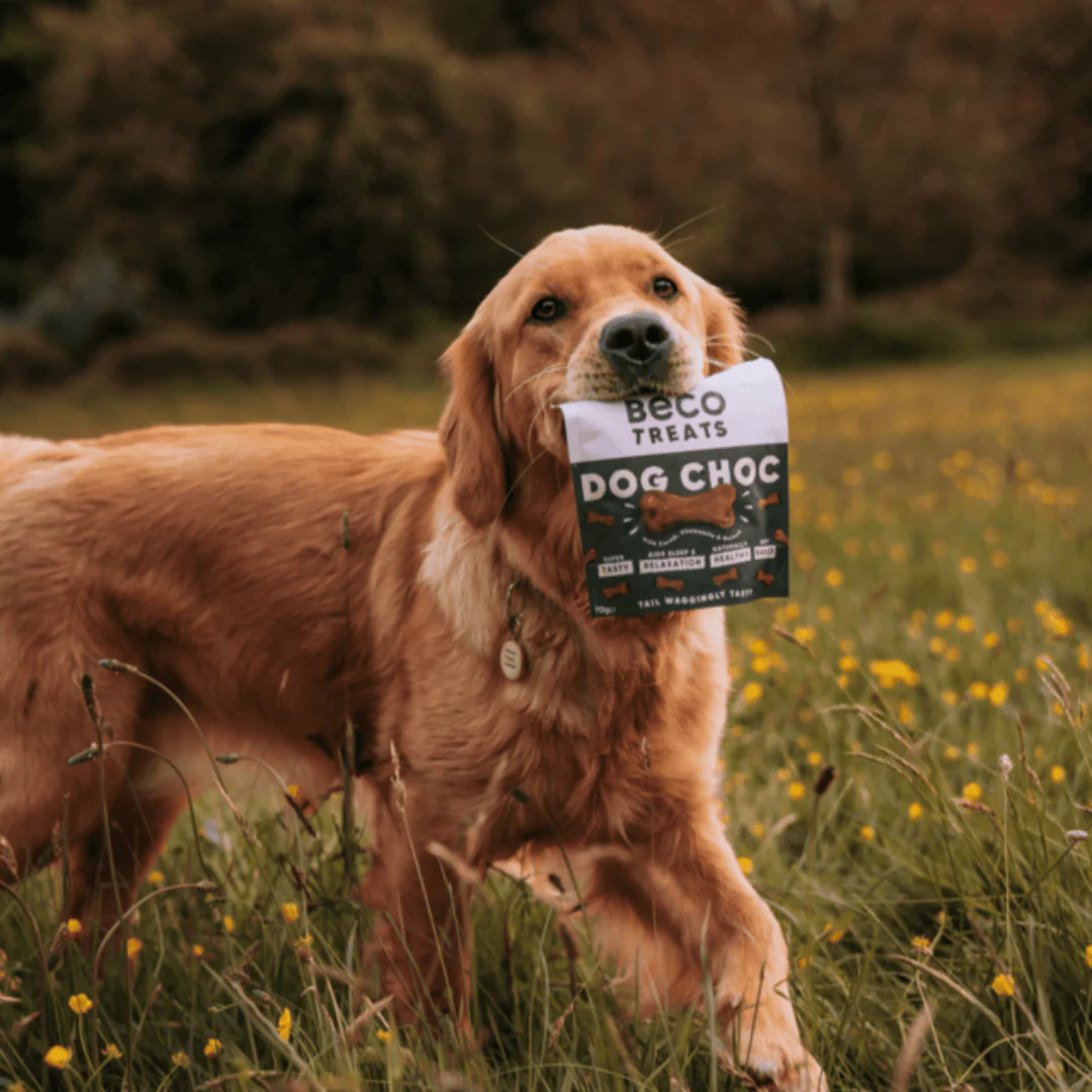 Beco Dog Choc Carob with Chamomile & Quinoa Treats - Image 3