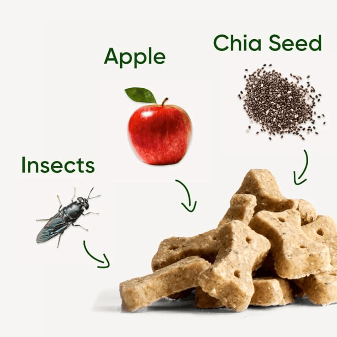 Beco Insect with Apple & Chia Seeds Dog Treats - Image 2