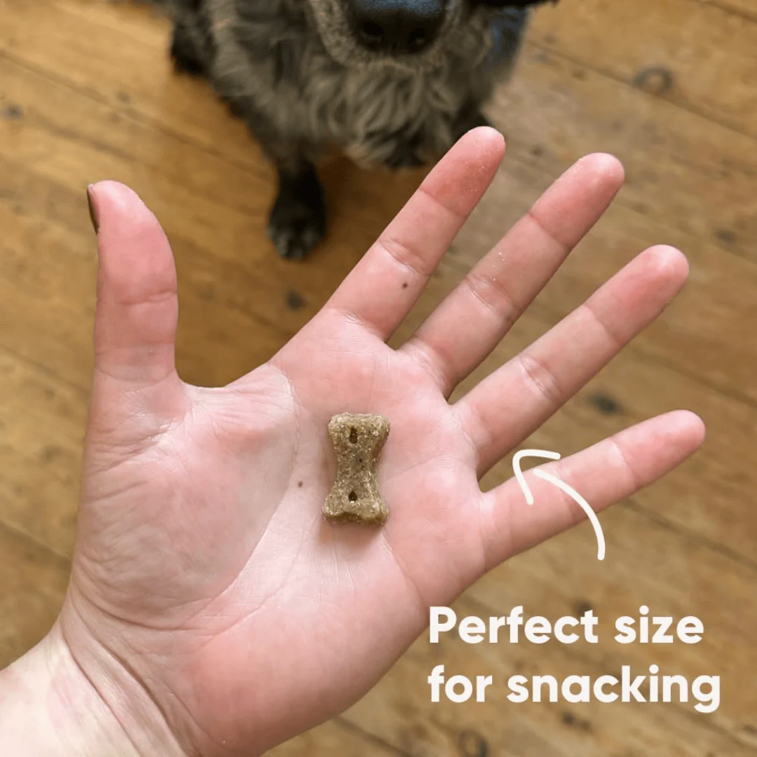 Beco Insect with Apple & Chia Seeds Dog Treats - Image 3