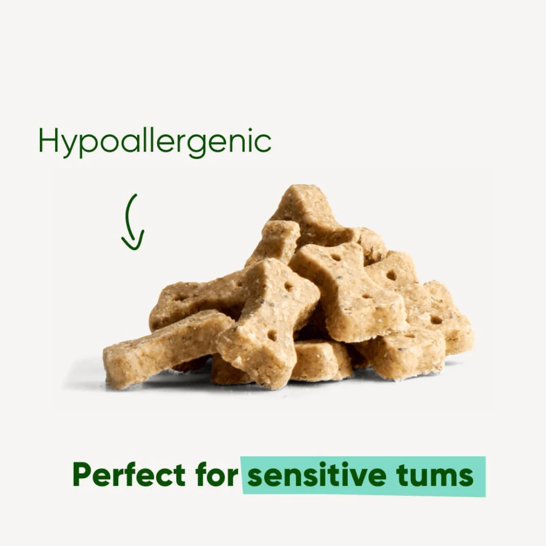 Beco Insect with Apple & Chia Seeds Dog Treats - Image 5