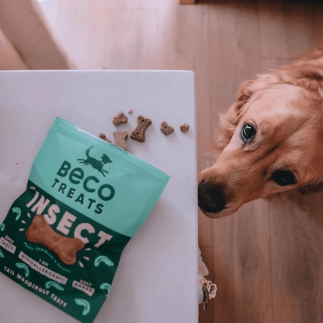 Beco Insect with Apple & Chia Seeds Dog Treats - Image 6