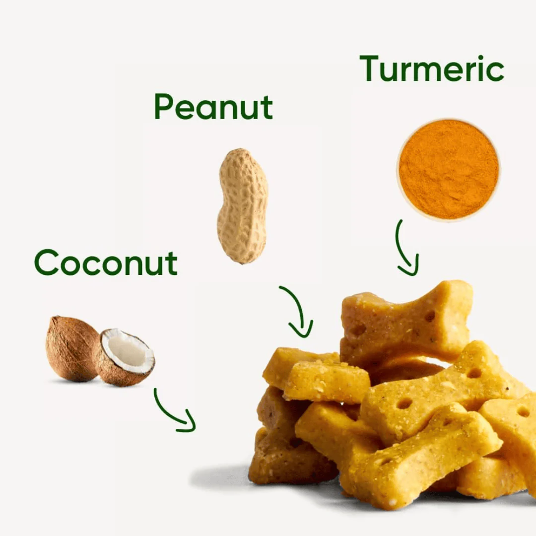 Beco Peanut with Coconut & Turmeric Dog Treats - Image 2