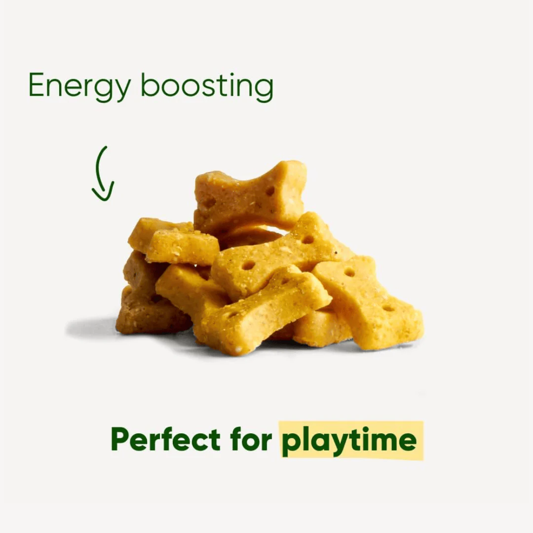 Beco Peanut with Coconut & Turmeric Dog Treats - Image 3
