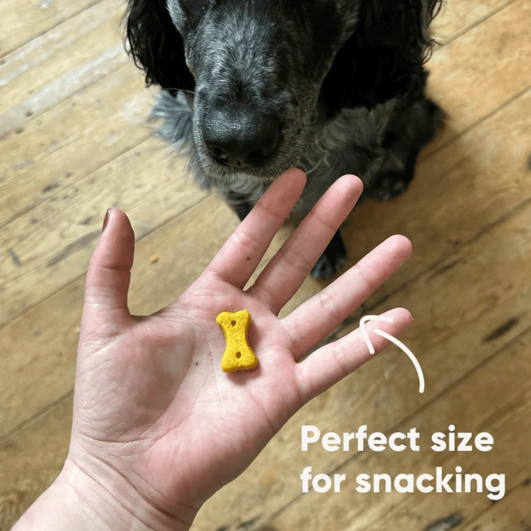 Beco Peanut with Coconut & Turmeric Dog Treats - Image 4