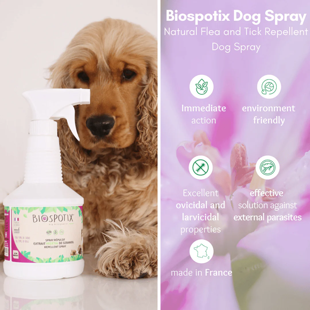 Biospotix Flea Repellant Spray for Dogs - Image 2