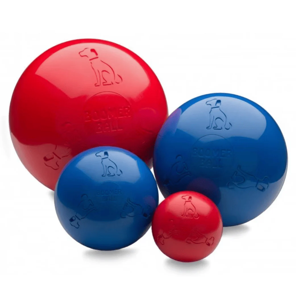 Boomer Ball for Dogs - Image 4