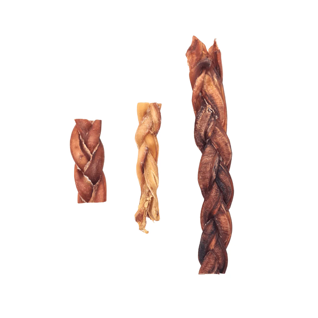 Bull Pizzle Plait