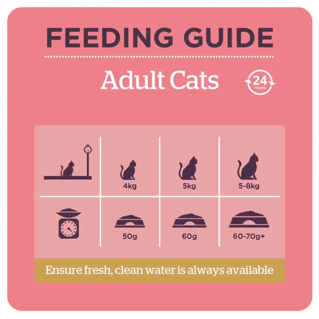 Burgess Cat Adult Chicken & Duck - Image 4