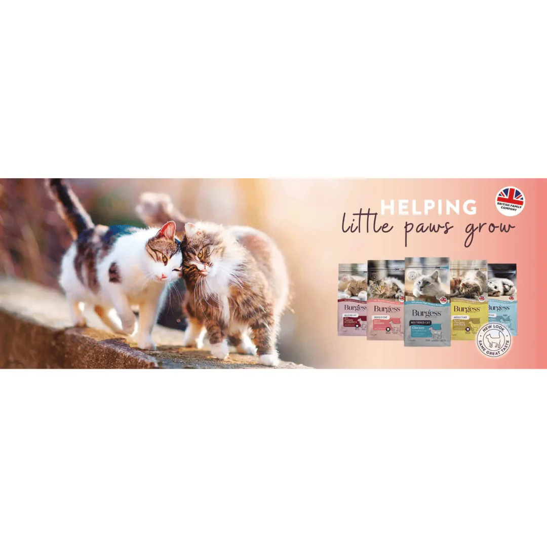 Burgess Cat Food Adult Scottish Salmon - Image 7