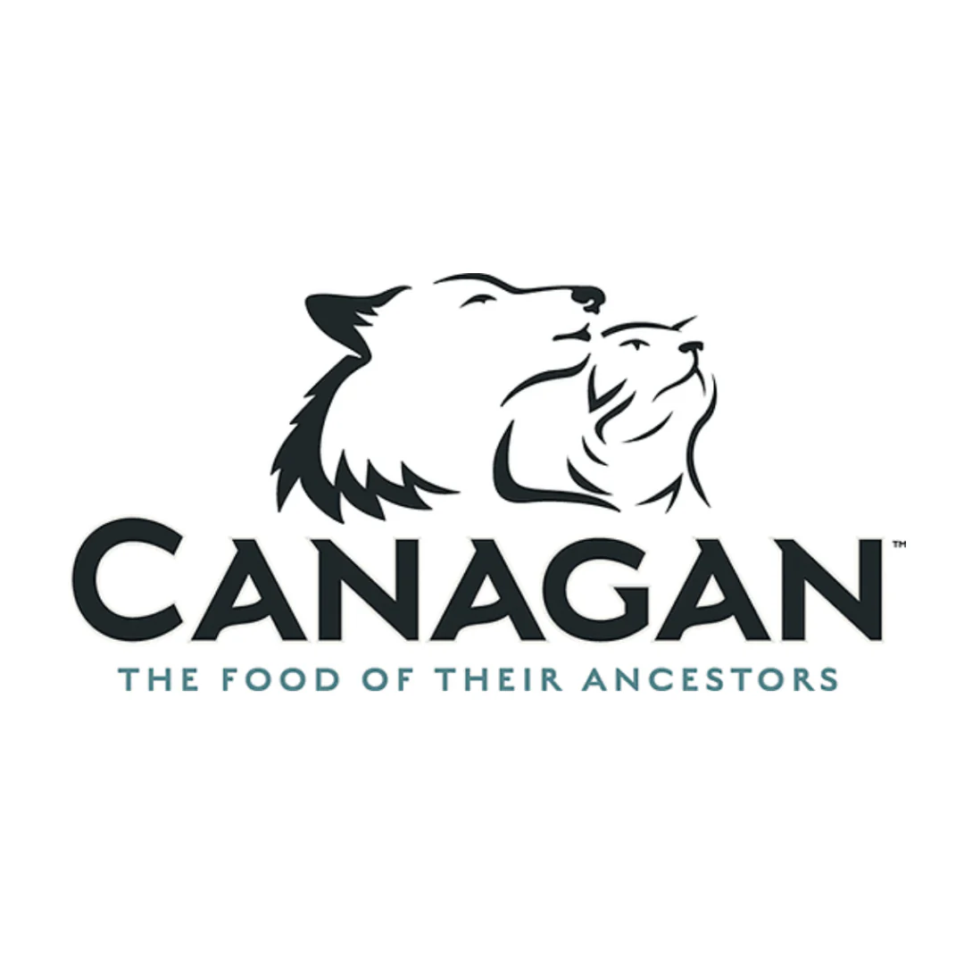 Canagan Chicken & Wild Boar Casserole Wet Food - Image 5