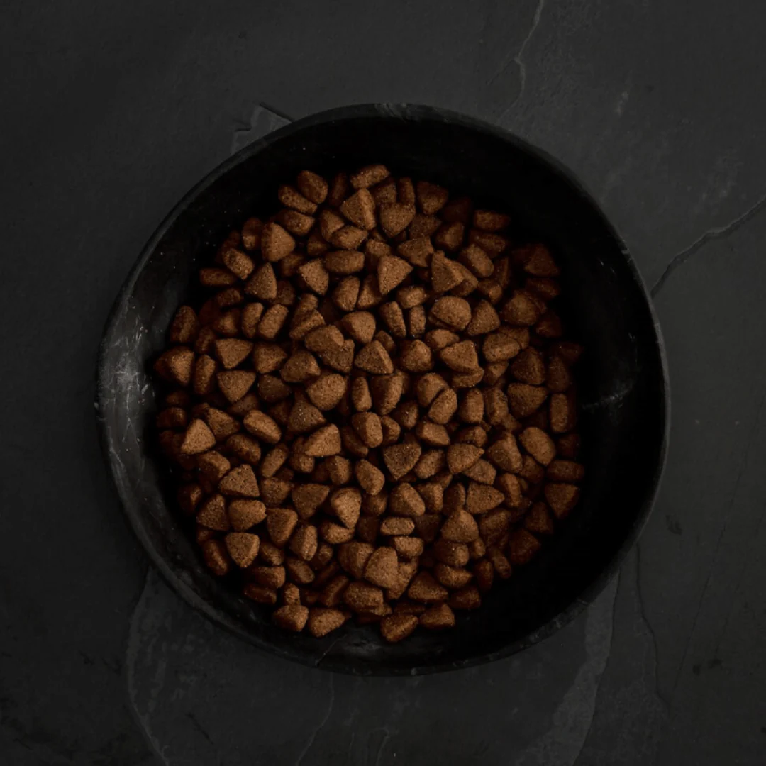 Canagan Free Range Chicken Dog Food - Image 3
