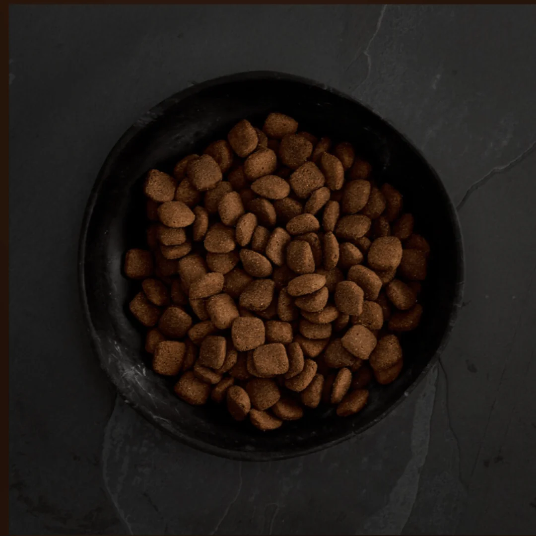 Canagan Grass Fed Lamb Dog Food - Image 3