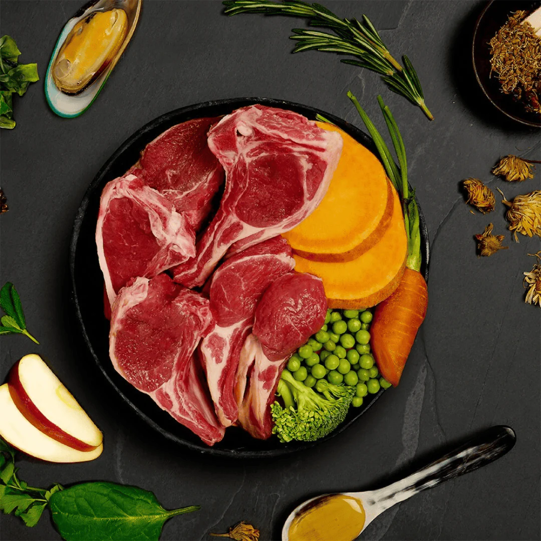 Canagan Lamb Casserole Wet Food - Image 3