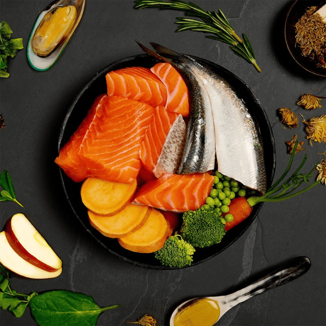 Canagan Salmon and Herring Supper Wet Food - Image 3