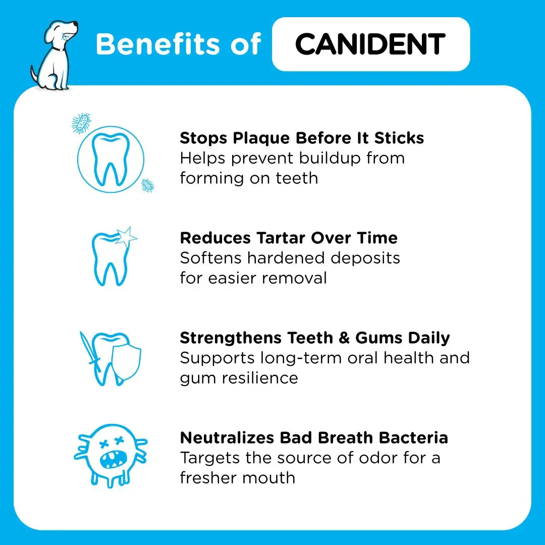 Canident - Image 3