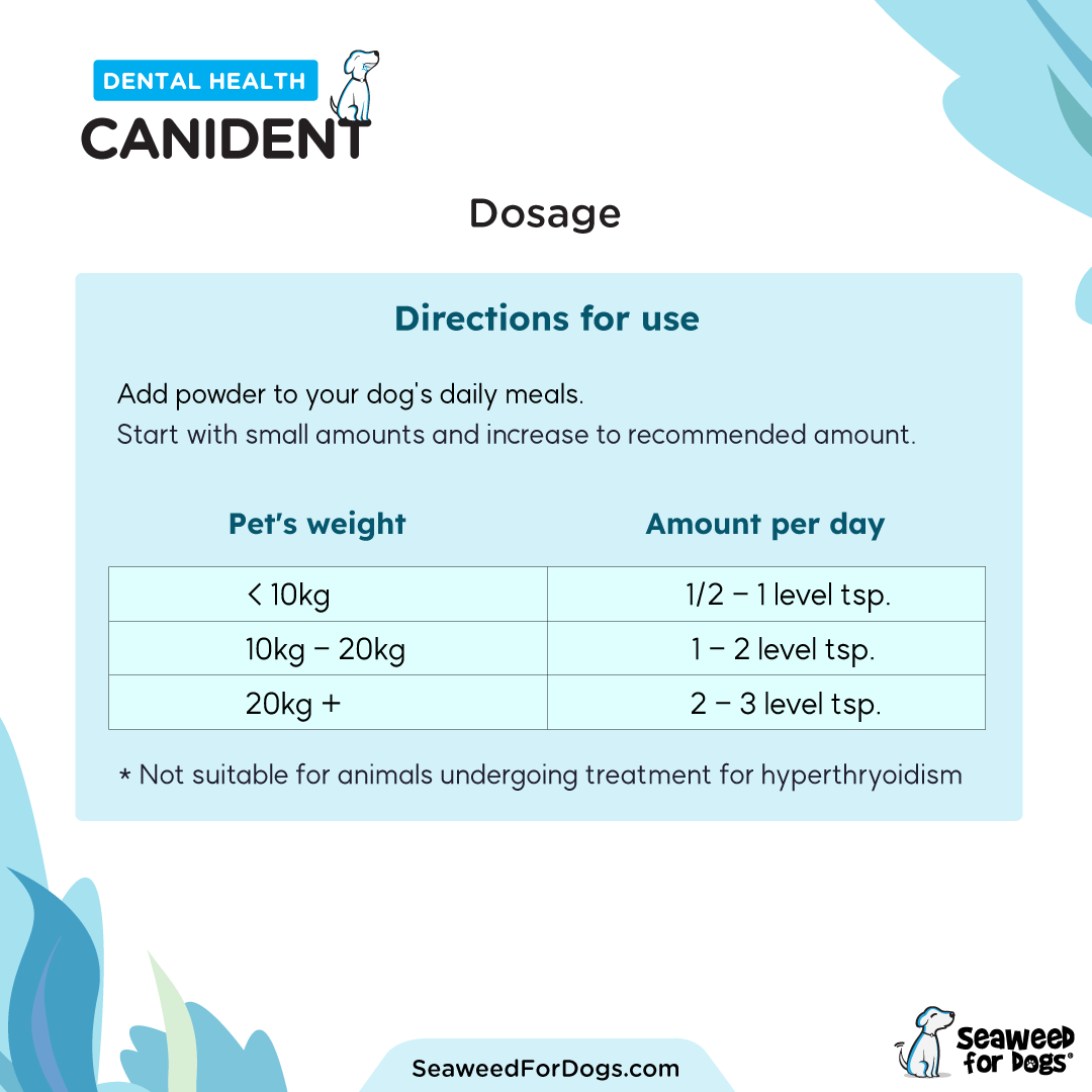 Canident - Image 5