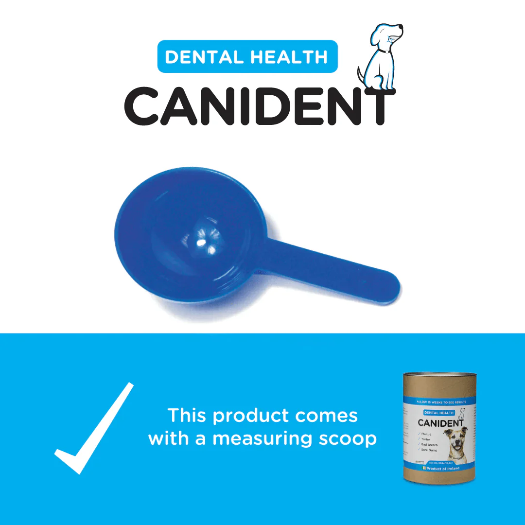 Canident - Image 7