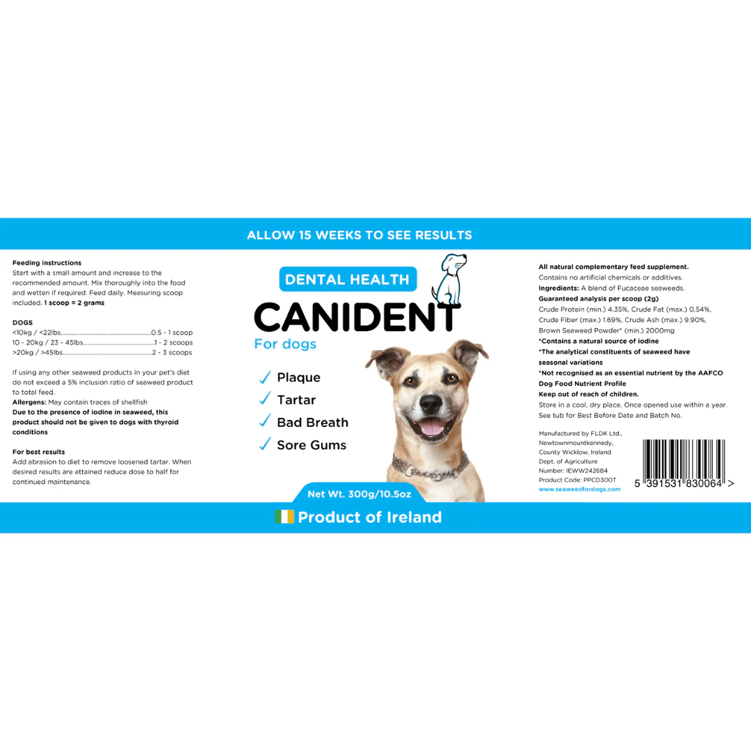 Canident - Image 8