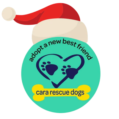 Cara Rescue Dogs Christmas Cards - 10 Pack - Image 11