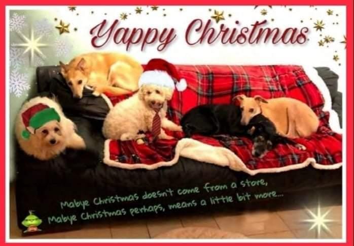 Cara Rescue Dogs Christmas Cards - 10 Pack - Image 2