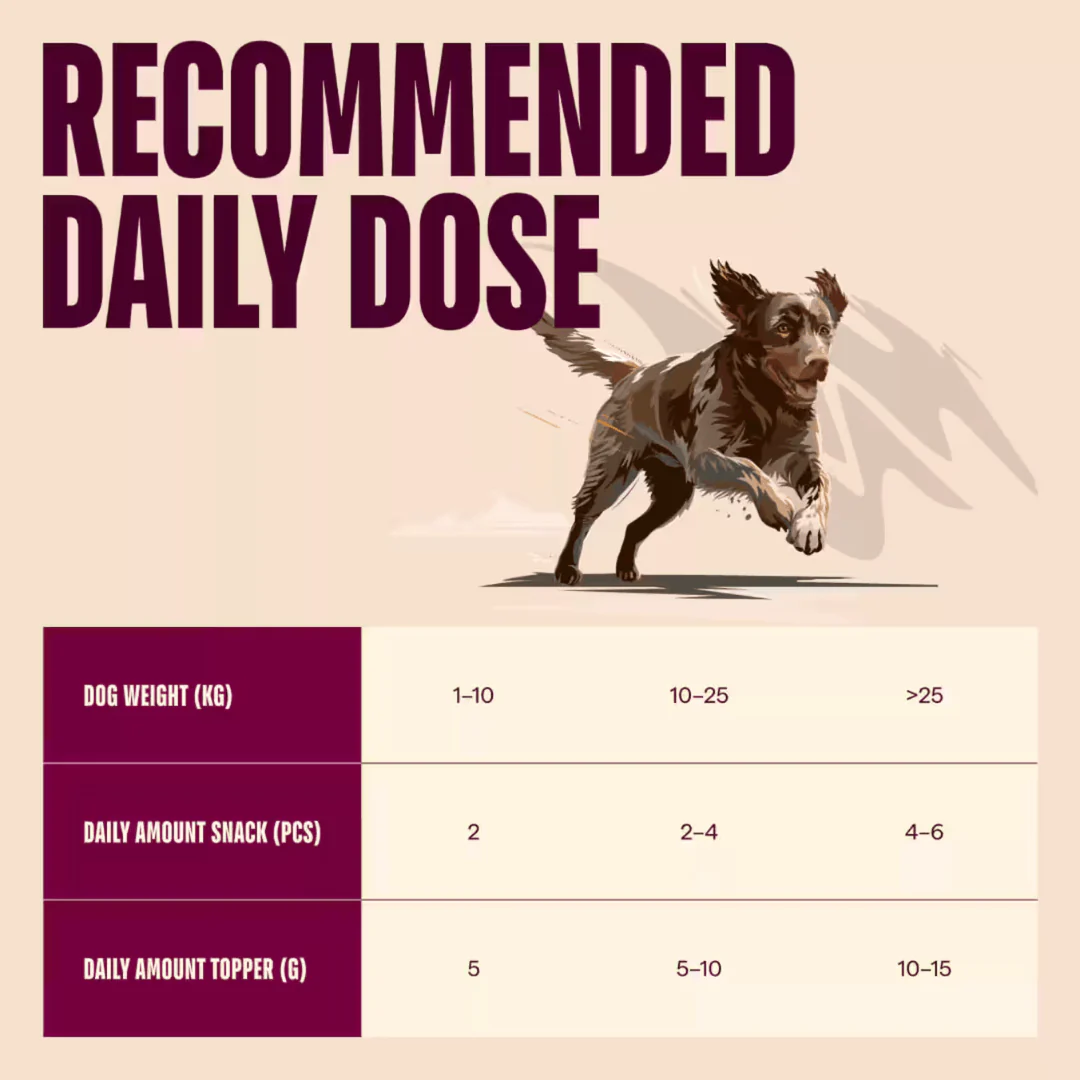 Carnilove Lamb Freeze-Dried Raw Dog Treats - Image 6