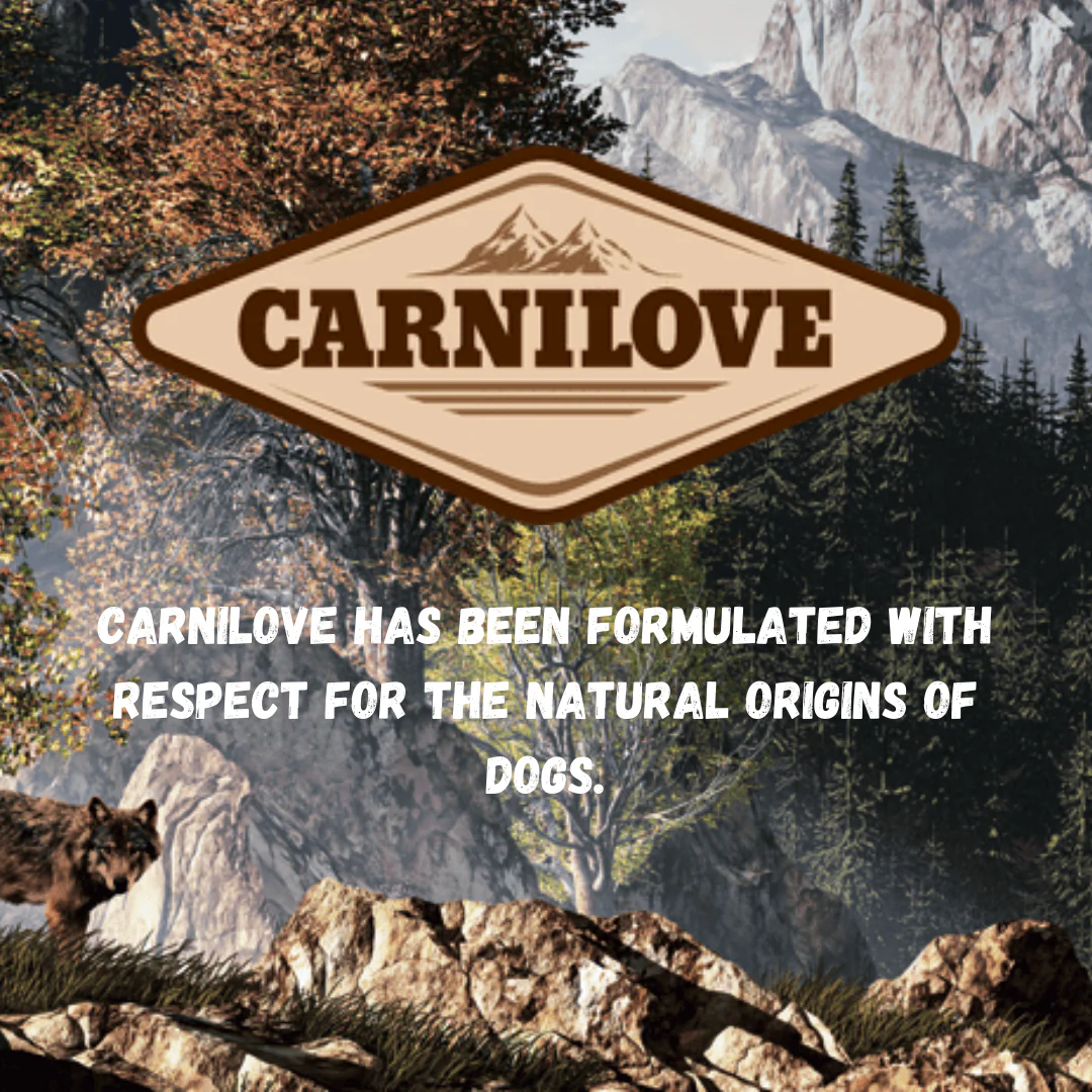 Carnilove Lamb with Salmon Meat Jerky - Image 4