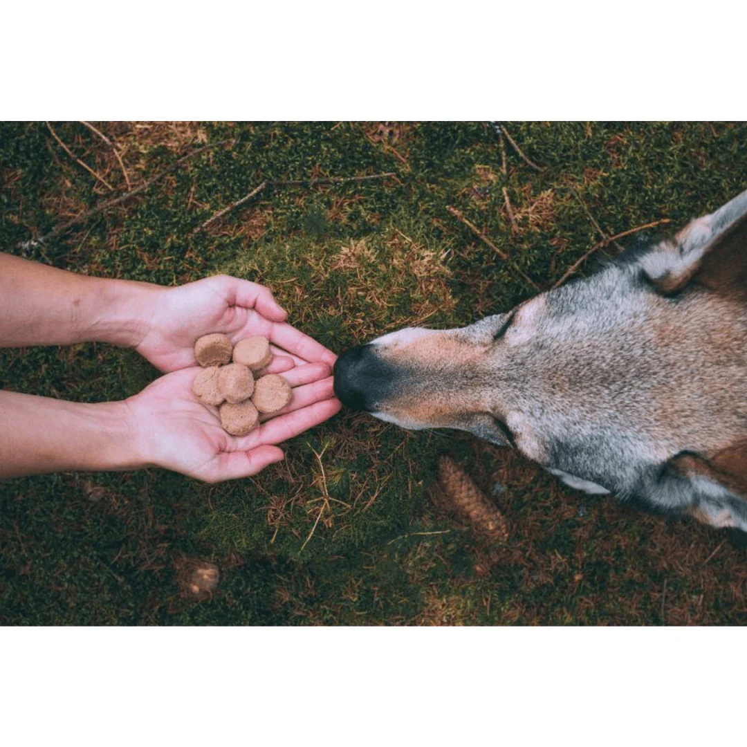 Carnilove Venison & Turkey Freeze-Dried Raw Dog Treats - Image 3