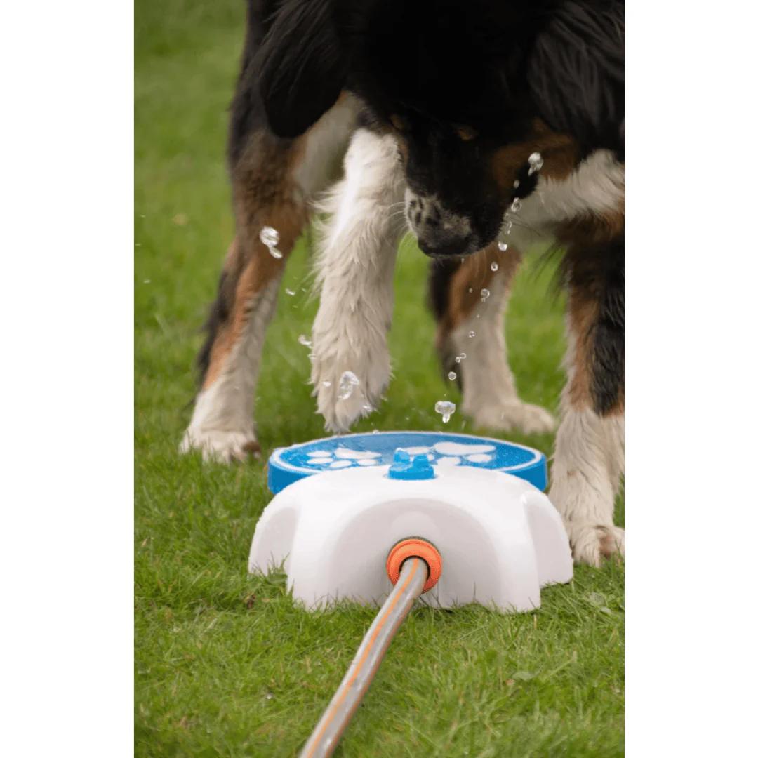 Cool Pets Splash Water Fountain - Image 6