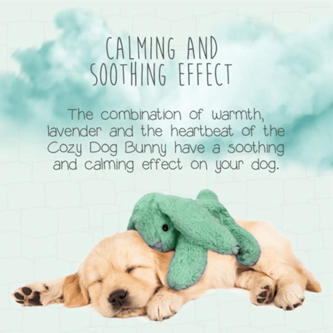 Cozy Dog Bunny Green - Image 4