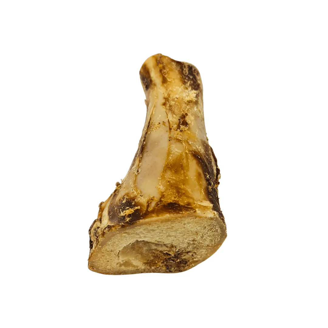 Cut Beef Bone - Image 2